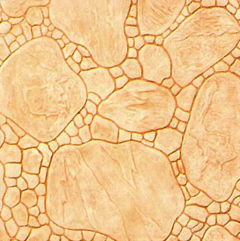 009壓花地坪樣品