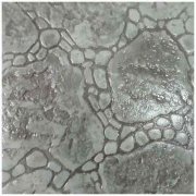 139壓花地坪樣品