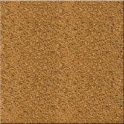 009透水混凝土樣板